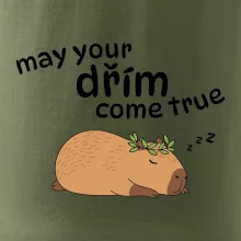 May your dřím come true