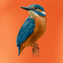 Lednáček kreslený