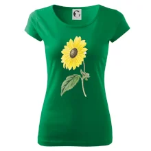 Slunečnice otočená