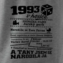 1993 v kostce