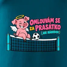 Nohejbalové prasátko na síti