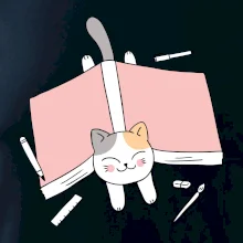 Učení na státnice kočka