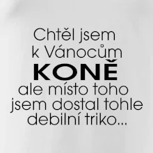 Chtěl jsem dostat k Vánocům koně