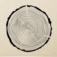 Letokruhy 50 bez věku