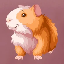 Morče - kreslené, bílo oranžové