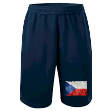 Česká vlajka stará