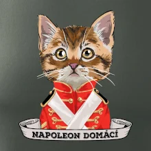 Napoleon domácí kočka