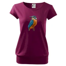 Lednáček kreslený