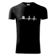 Veterinář EKG Veterinář EKG