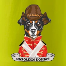 Napoleon domácí pes kříženec