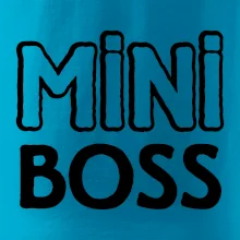 Big boss mini boss