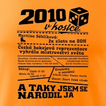 2010 v kostce