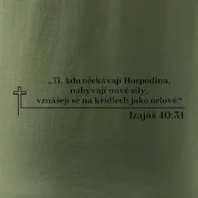 Citáty z bible - Izajáš 40:31