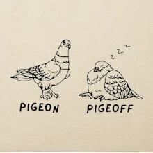 Pigeon pigeoff