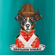 Napoleon domácí pes kříženec