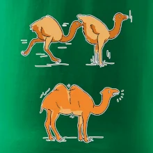 Pravda o velbloudech