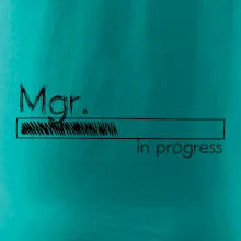 In progress titul Mgr.  magistr / magistra