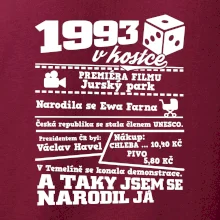 1993 v kostce