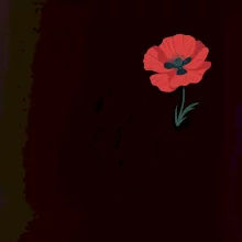 Vlčí mák kreslený na prsu