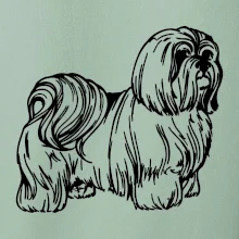 Shih-tzu - chlupatý