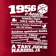 1956 v kostce