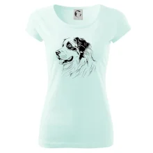 Bernský salašnický pes černá kresba