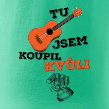 Tu kytaru jsem koupil kvůli tobě