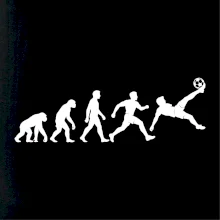 Evoluce nohejbalisty dokončena