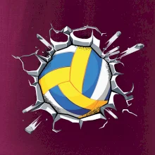 Volejbal míč v triku