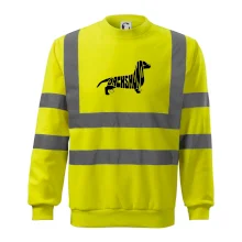 Jezevčík - Dachshund