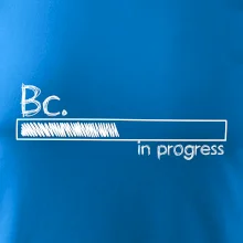 In progress  titul Bc. bakalář / bakalářka