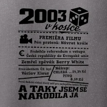 2003 v kostce