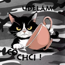 Kočka - udělám co chci