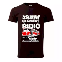 Jsem ukázněný řidič - tramvaj