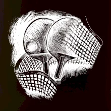 Ping pong pálky a síť