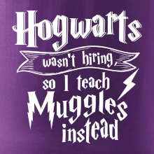 Harry - Hogwarts wasn’t hiring, so I teach Muggles instead