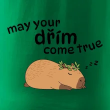 May your dřím come true