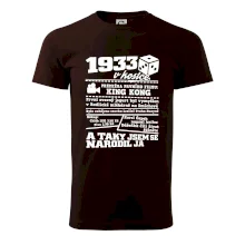 1933 v kostce