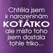 Chtěla jsem dostat k narozeninám koťátko