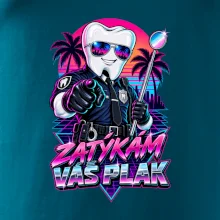 Zatýkám váš plak