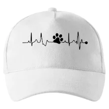 Ekg psí tlapka Ekg psí tlapka