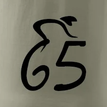 Cyklista slaví pětašedesátku (65)