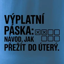VÝPLATNÍ PÁSKA: Návod, jak přežít do úterý