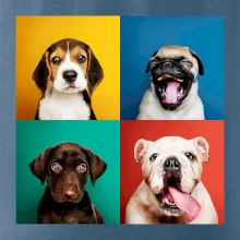 Psi štěňata koláž