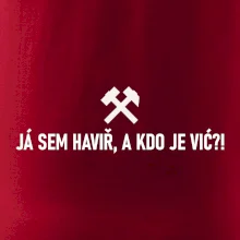 JÁ SEM HAVIŘ, A KDO JE VIĆ?!﻿