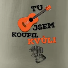 Tu kytaru jsem koupil kvůli tobě