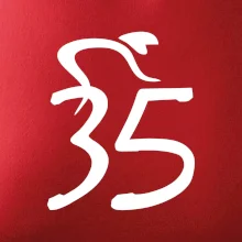 Cyklista slaví pětatřicítku (35)