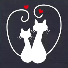 Kočky - Zamilovaný pár