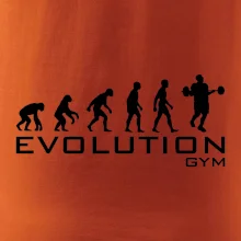 Evoluce Gym