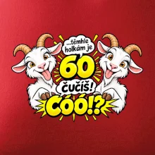 Těmhle holkám je 60, čučíš co?